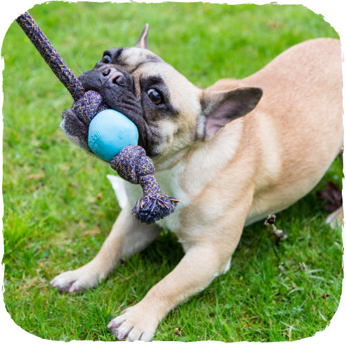 Beco Natural Rubber Ball on Rope (4451812606011)