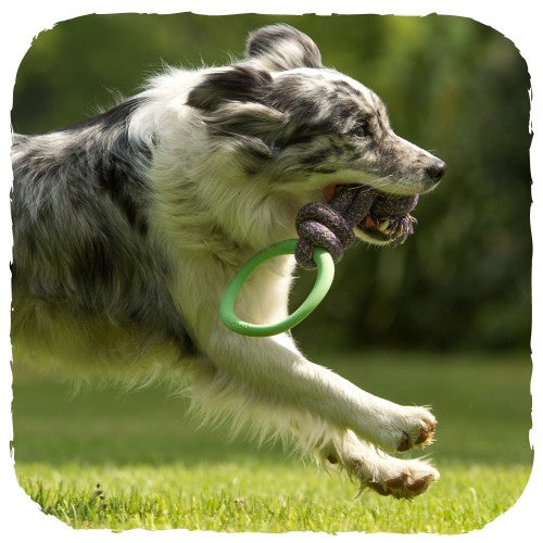 Beco Natural Rubber Hoop on Rope (4451814113339)