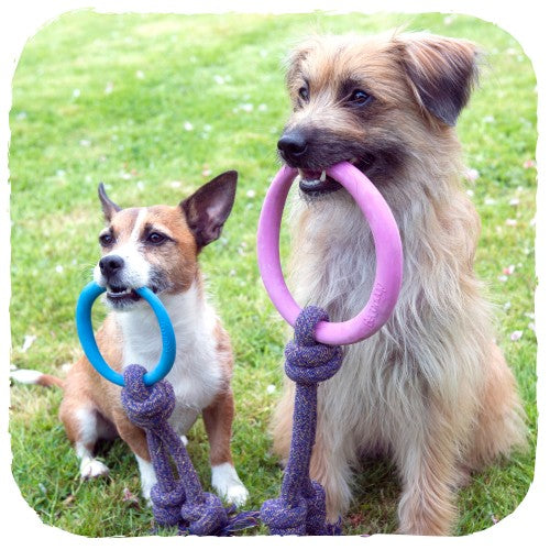 Beco Natural Rubber Hoop on Rope (4451814113339)