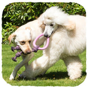 Beco Natural Rubber Hoop on Rope (4451814113339)
