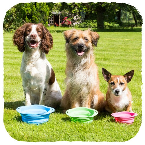 Beco Collapsible Travel Bowl (4455787954235)