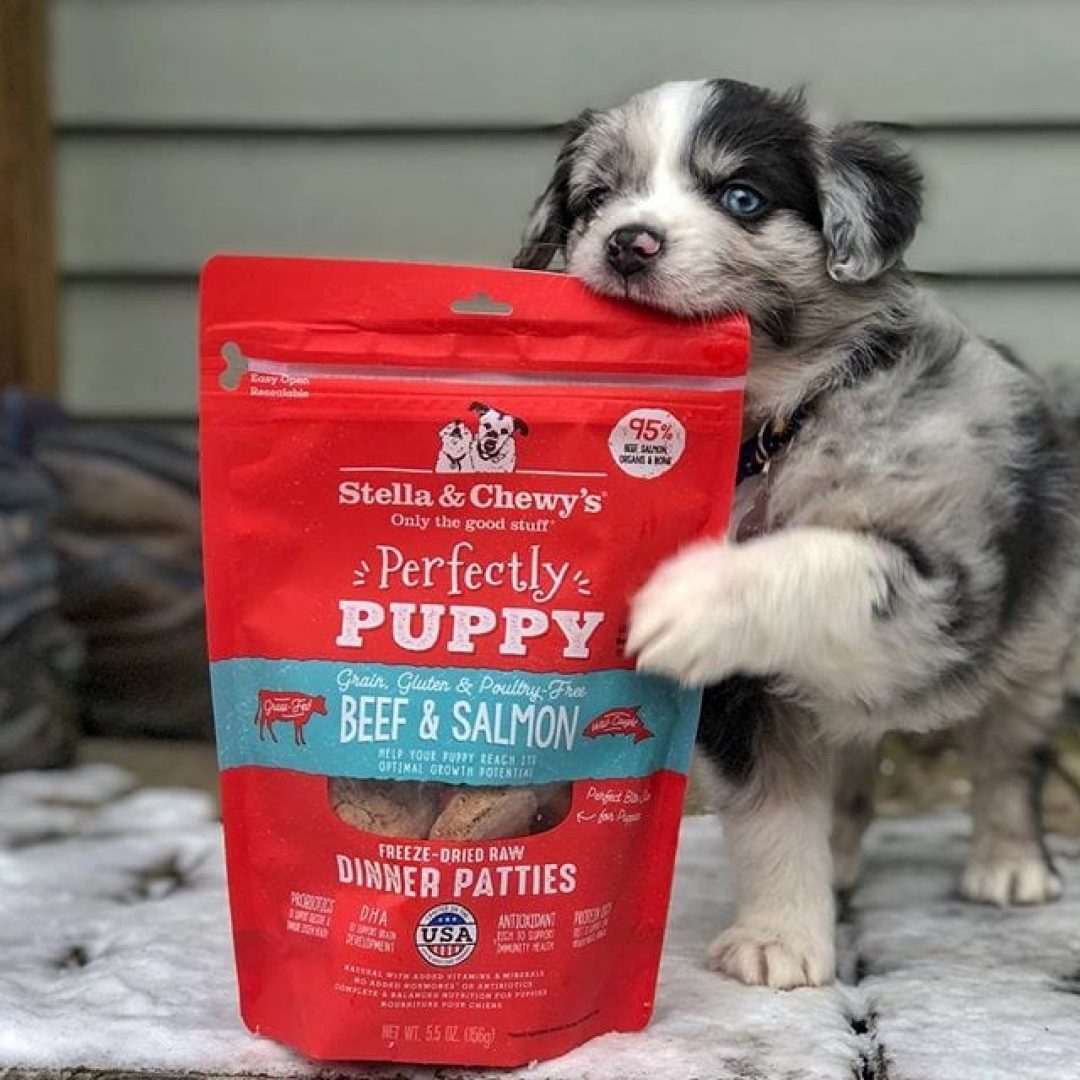 Stella & Chewy's Freeze Dried Beef & Salmon for Puppy