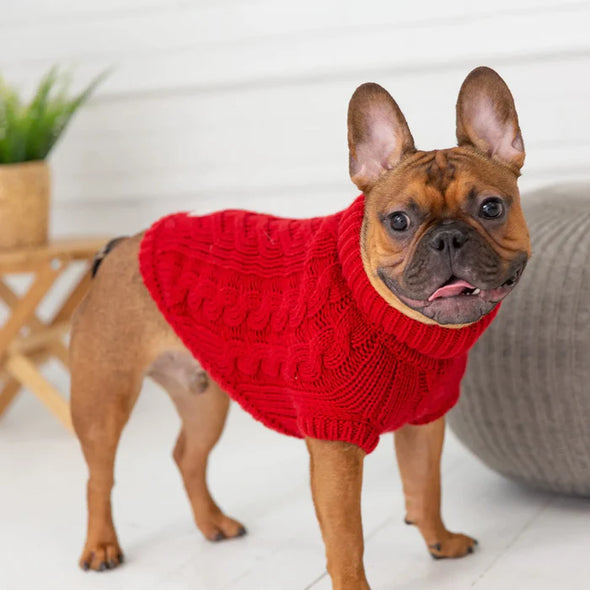 GF Pet Chalet Sweater WEBSITE ONLY