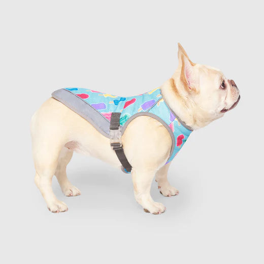 Dog cooling vest b&m hot sale