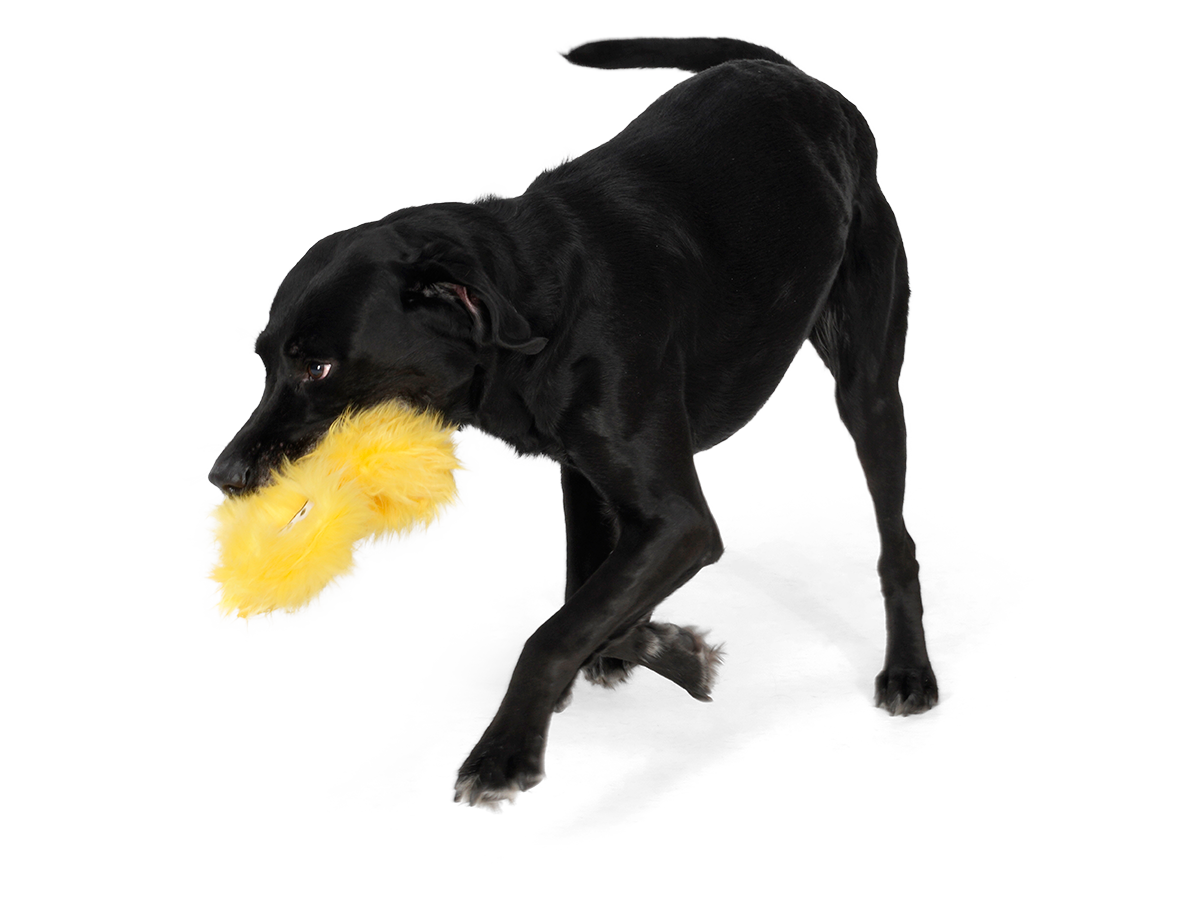 West Paw Dog Toy Rowdies Geraldine CLEARANCE FINAL SALE