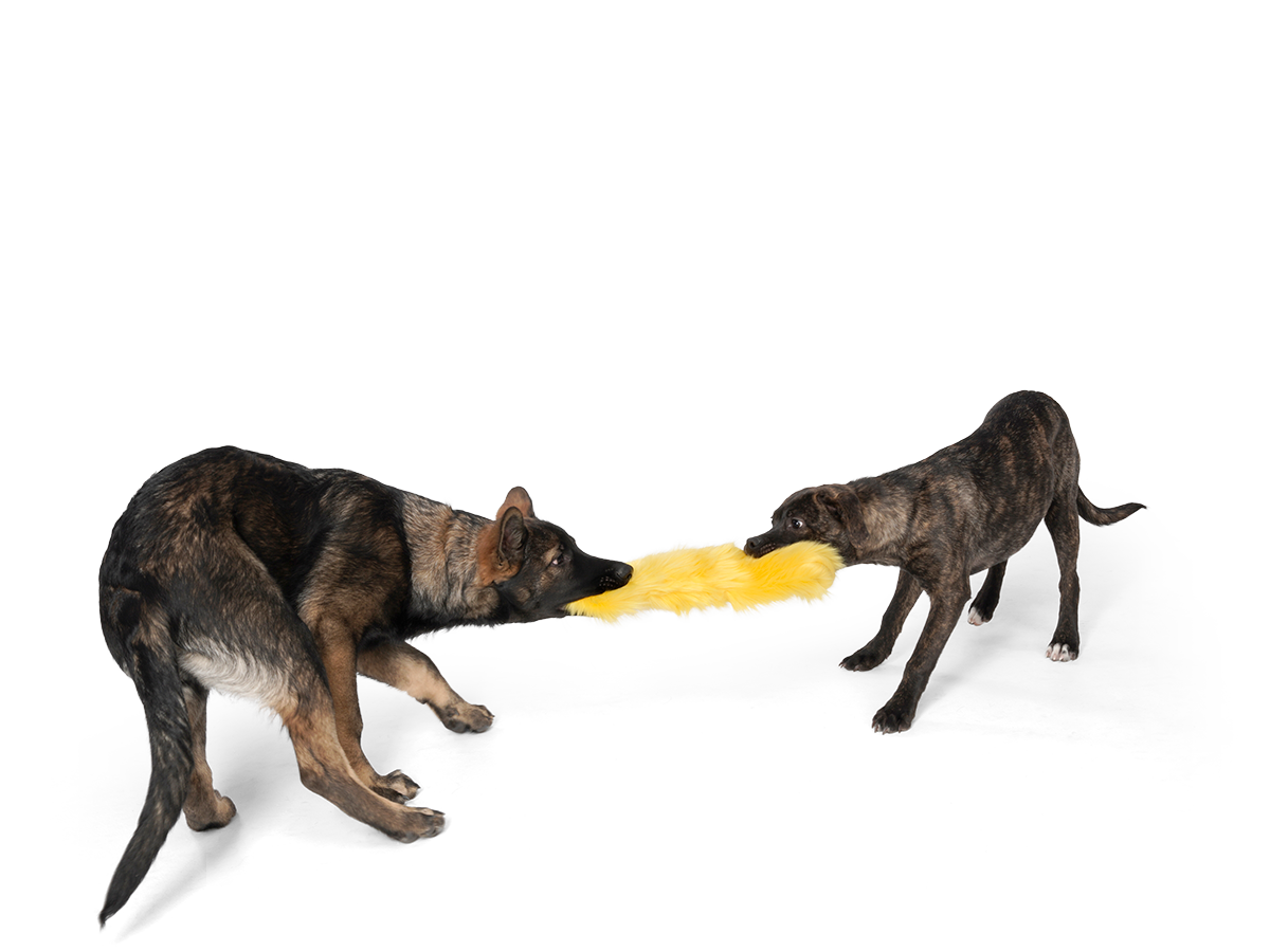West Paw Dog Toy Rowdies Judith CLEARANCE FINAL SALE