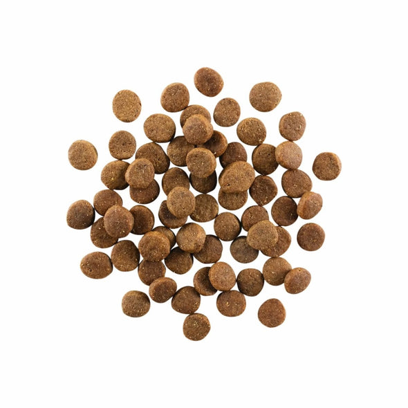 GO! Carnivore Grain-Free Chicken, Turkey & Duck Puppy
