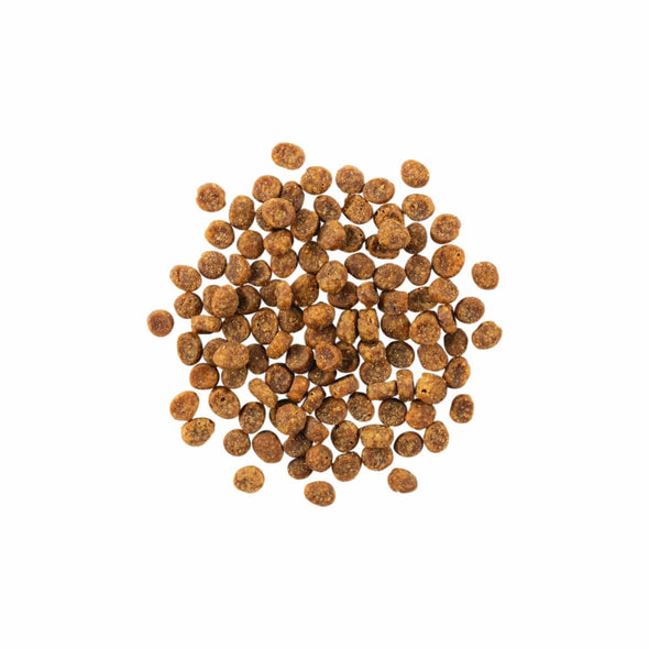 GO! Carnivore Grain Free Chicken, Turkey & Duck for Cats