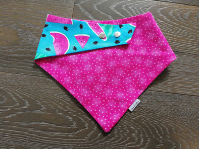 Coconut Collars Watermelon Bandana