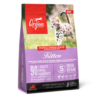 Orijen Kitten
