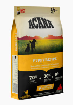 Acana Puppy for Dogs