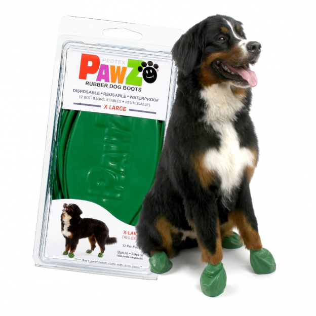 PAWZ Booties WEBSITE ONLY