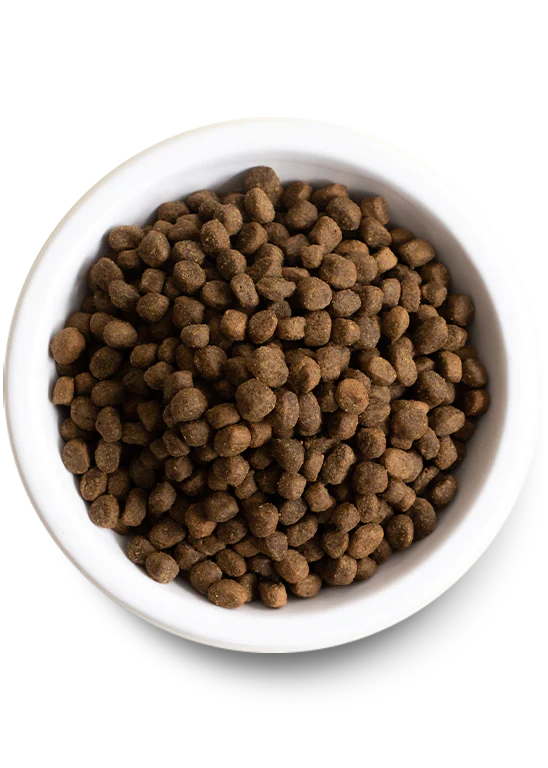 Open Farm Dog Ancient Grains Puppy Chicken & Salmon