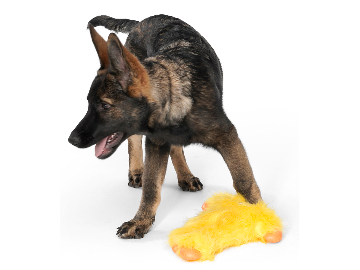 West Paw Dog Toy Rowdies Peet CLEARANCE FINAL SALE