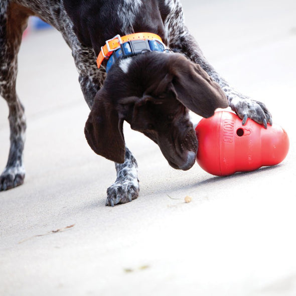 Kong Wobbler (4834255536187)