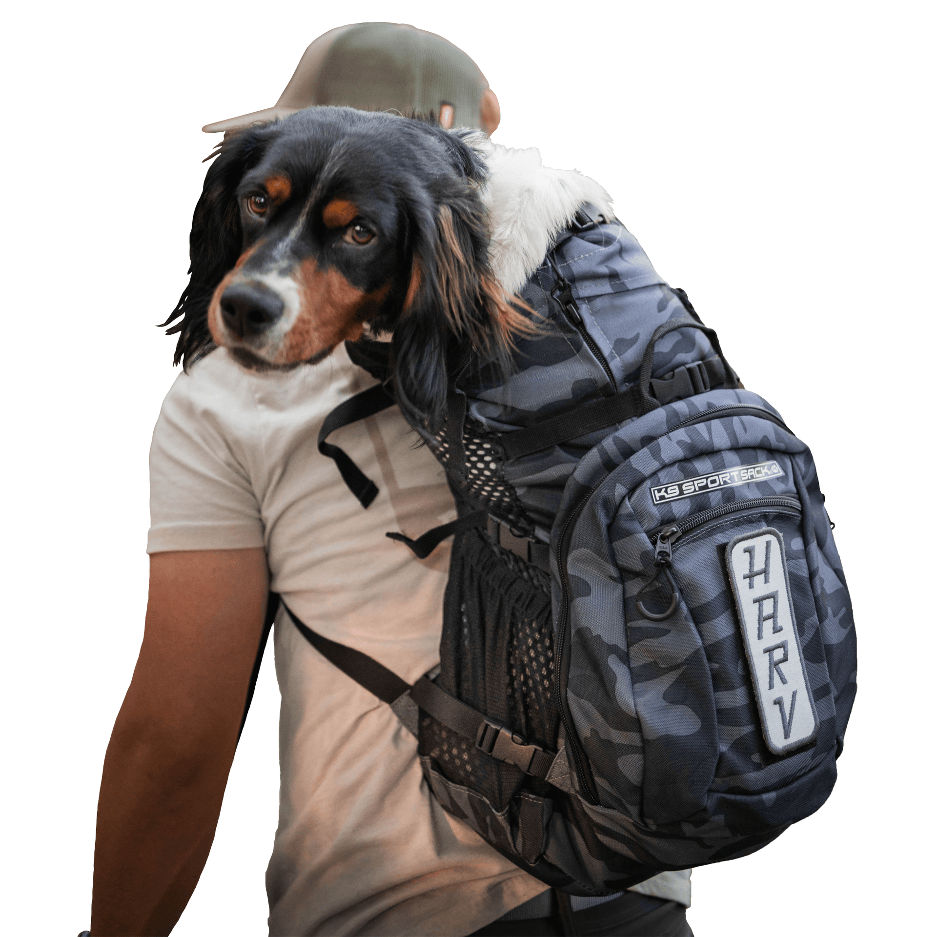 Sport sack sales k9