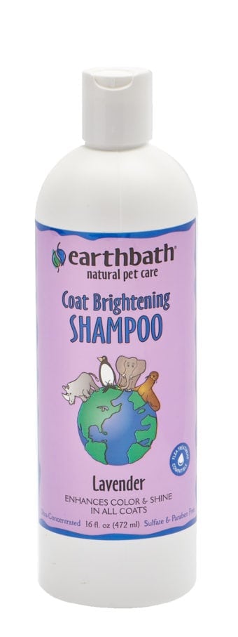 Earthbath Coat Brightening Shampoo (4777179938875)