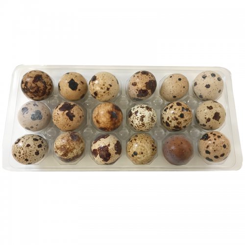 Big Country Raw Quail Eggs