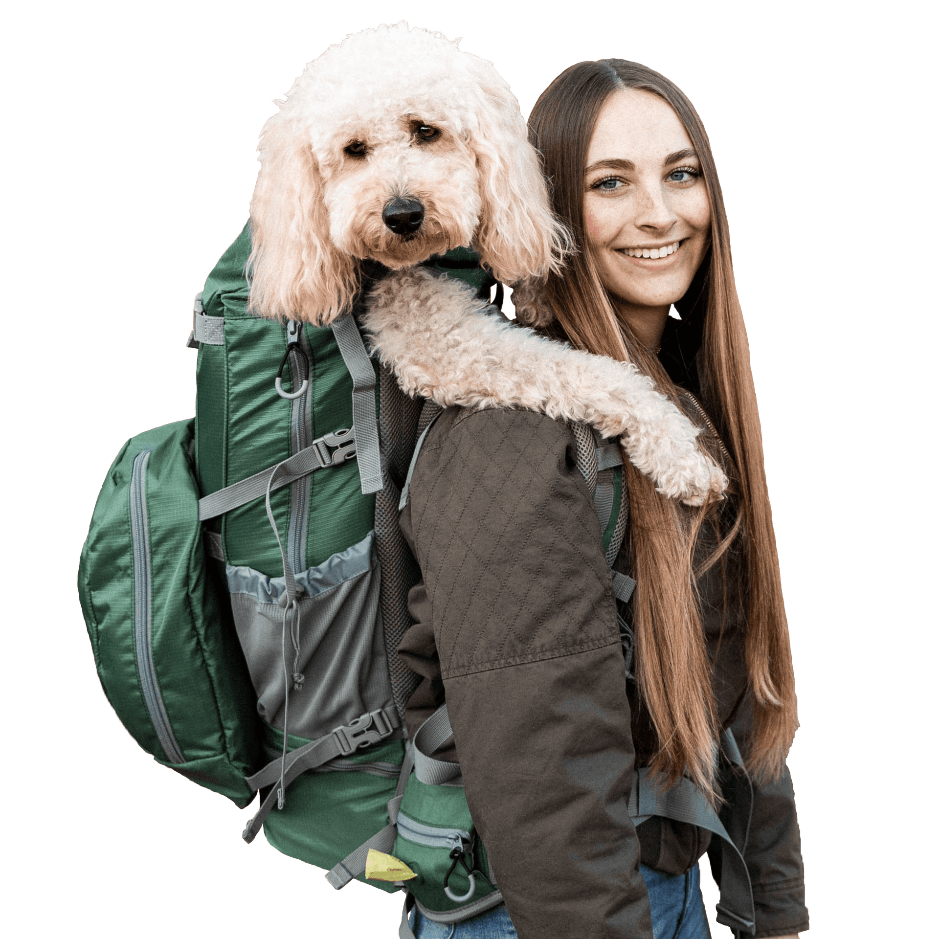 Rover 2 Big Dog Carrier Backpacking Pack Bon A Pet Treat Pet