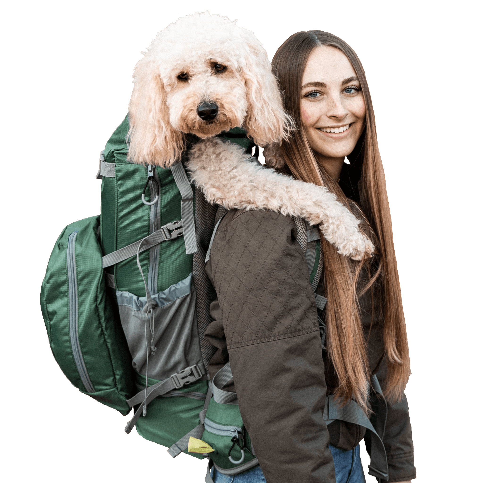 Large breed dog 2025 carrier