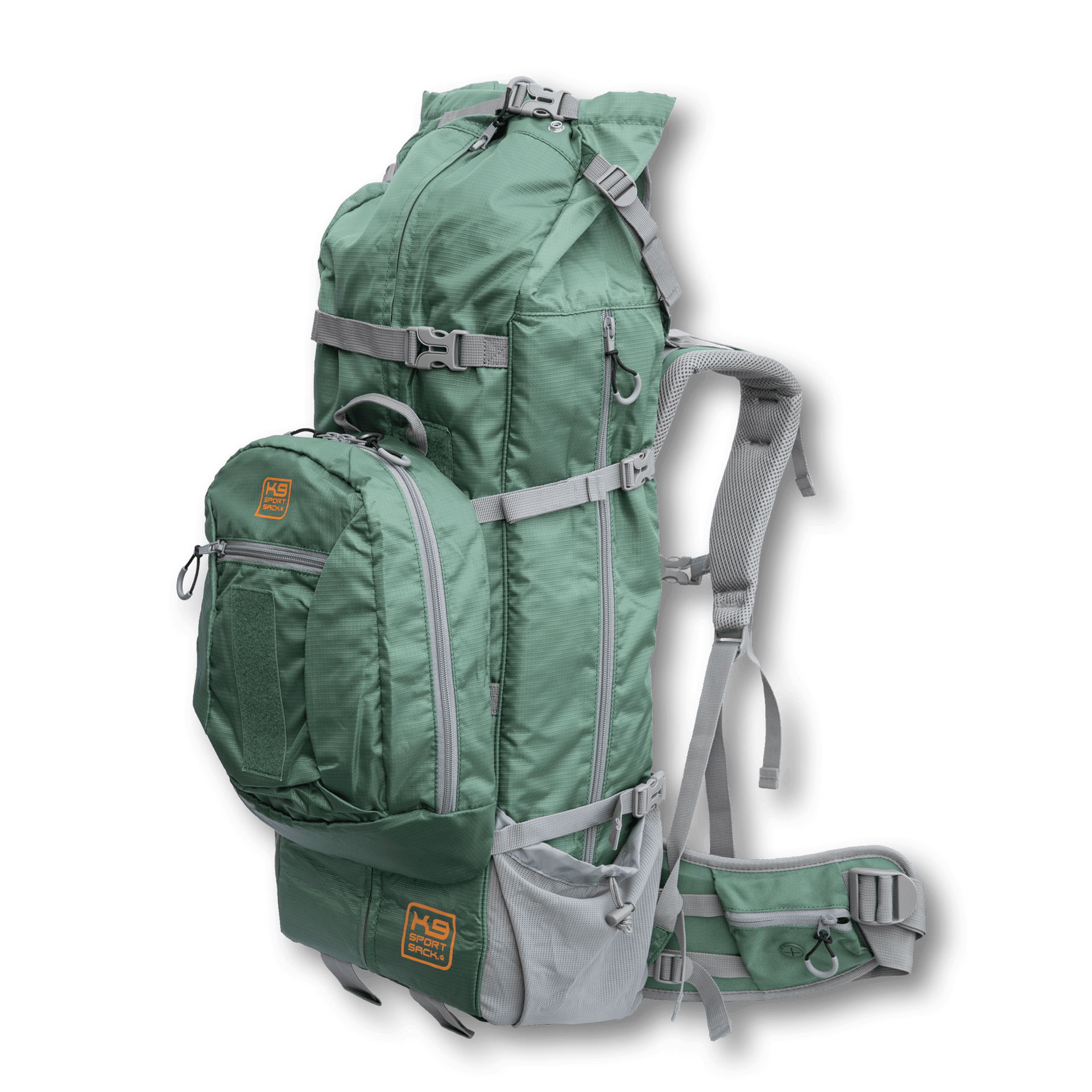 Rover 2 Big Dog Carrier Backpacking Pack Bon A Pet Treat