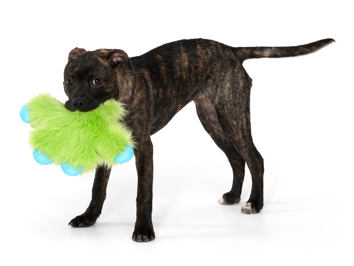 West Paw Dog Toy Rowdies Ruby CLEARANCE FINAL SALE