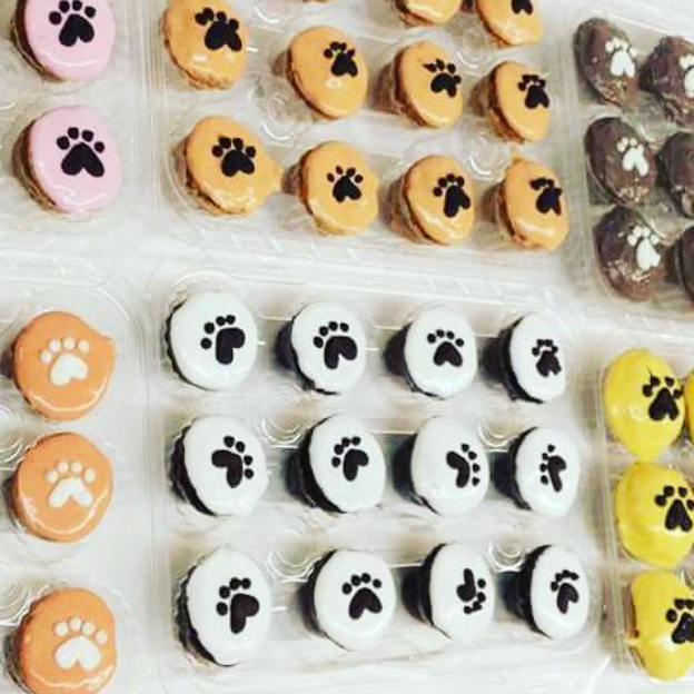 Mini Pupcakes (5815648649370)