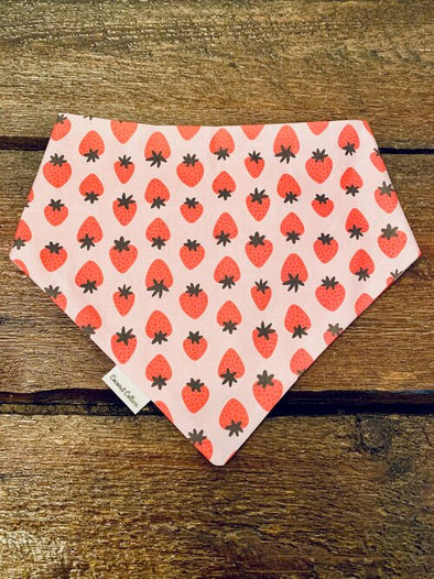 Coconut Collars Very Berry Bandana