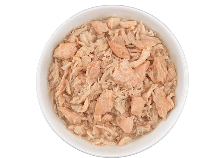 Tiki Cat Napili Luau Wild Salmon & Chicken (4746305568827)