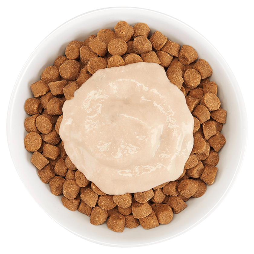 Tiki Cat Stix Tuna Mousse (4746335453243)