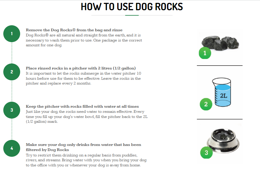 Dog Rocks