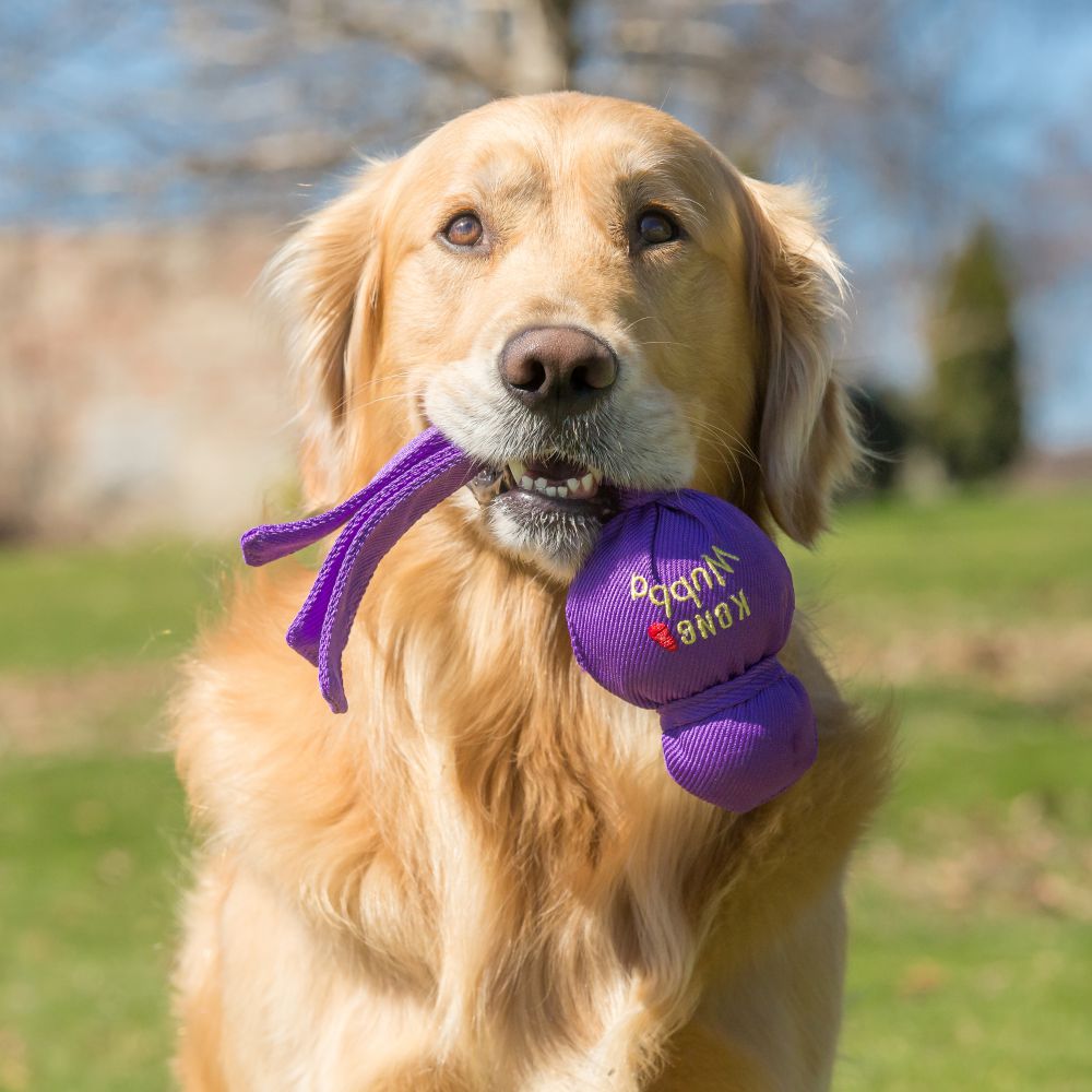 Kong Wubba Dog Toy (4834276016187)