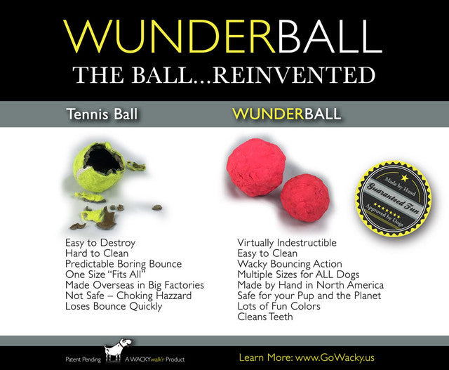 Wunderball! Toy