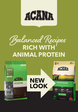Acana Senior for Dogs