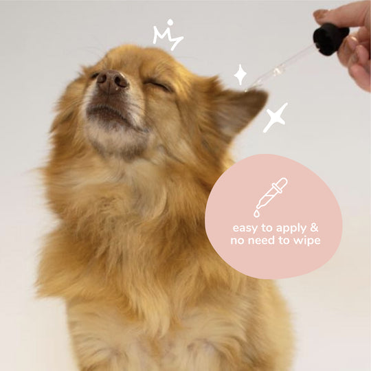 Kin + Kind Clear Ears for Dogs
