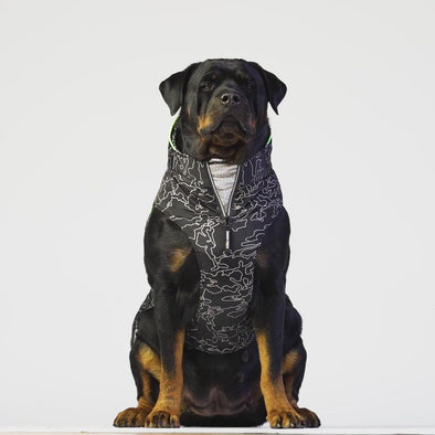 Canada Pooch Expedition Coat 2.0 Reflective WEBSITE ONLY (6074057719981)