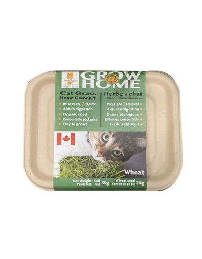 Cat Grass Kit by Fog Farms Urban Growers