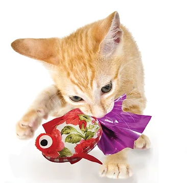 Goli Design Crink-a-Fish Catnip Toy