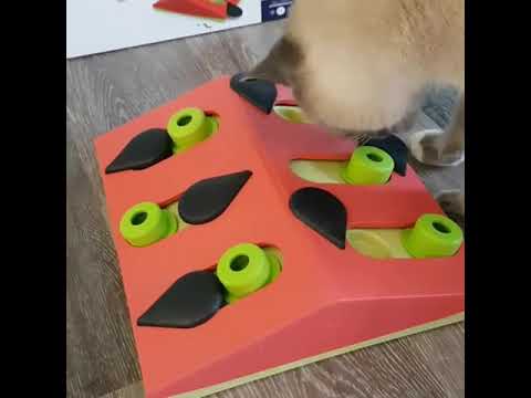 Nina Ottosson Melon Madness Puzzle & Play Cat Toy