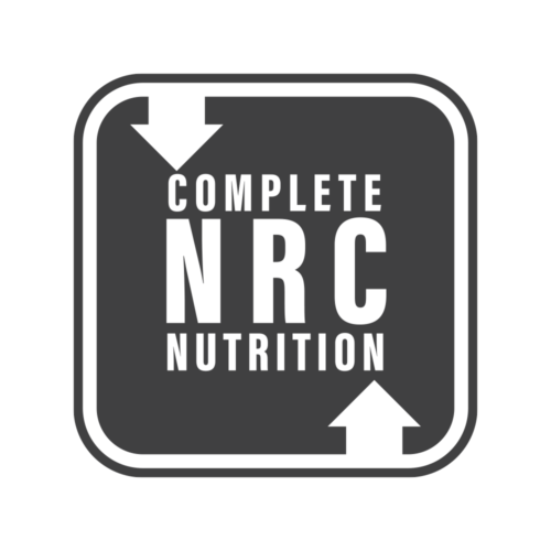 Big Country Raw Bison Dinner