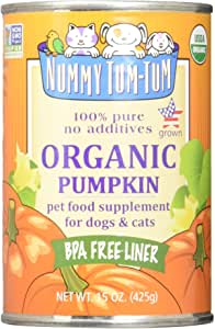 Nummy Tum-Tum Organic Pumpkin (4789377564731)