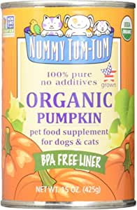 Nummy Tum-Tum Organic Pumpkin (4789377564731)